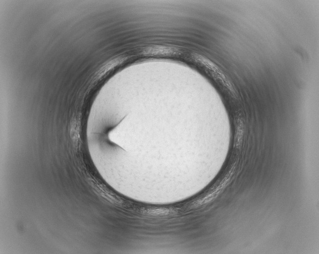 X0000114431017200911271613