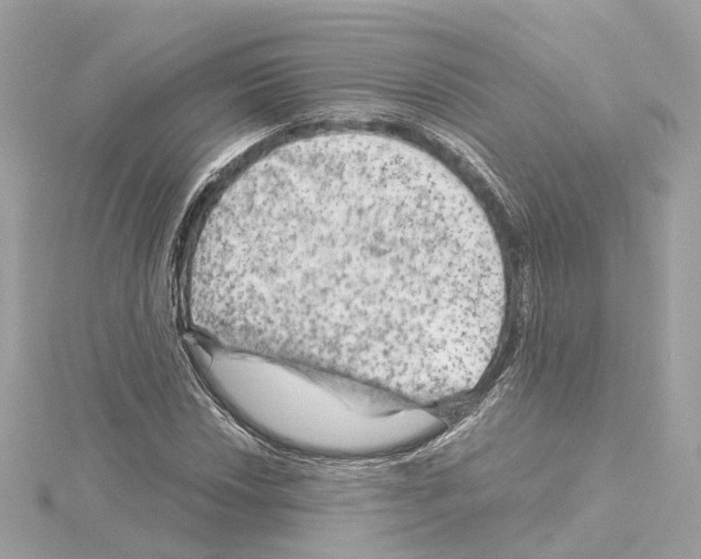 X0000114431018200911271613