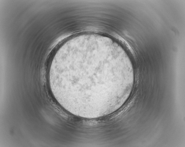 X0000114431019200911271613