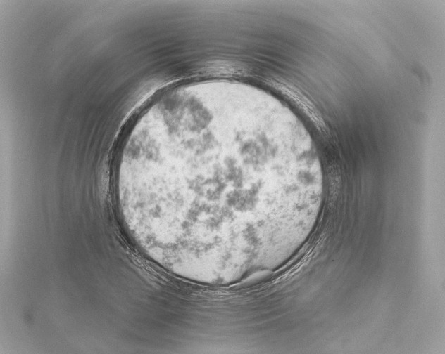 X0000114431023200911271613
