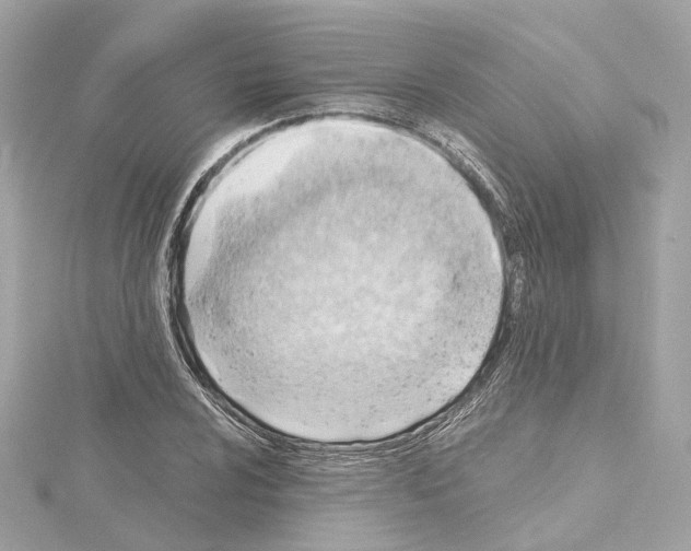 X0000114431024200911271613