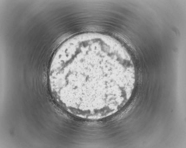 X0000114431025200911271613