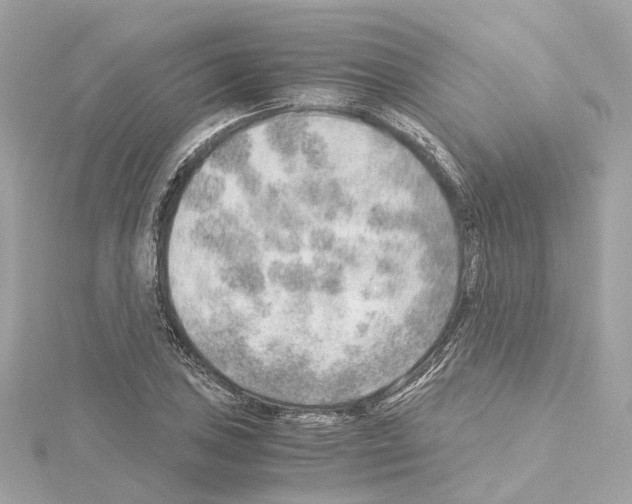 X0000114431027200911271613