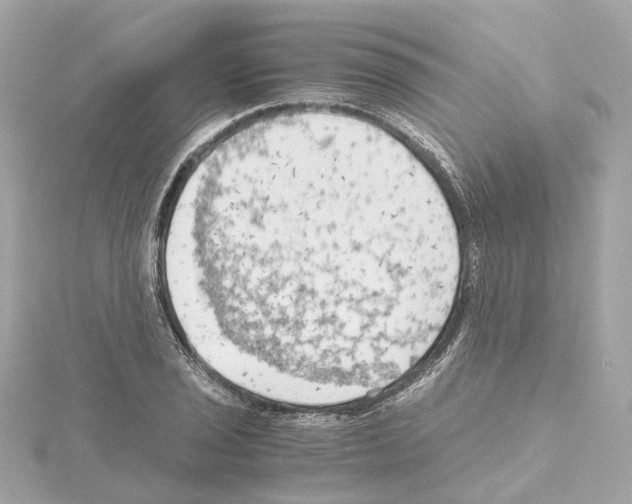 X0000114431029200911271613