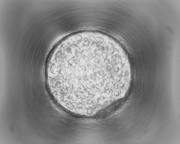 X0000114431030200911271613