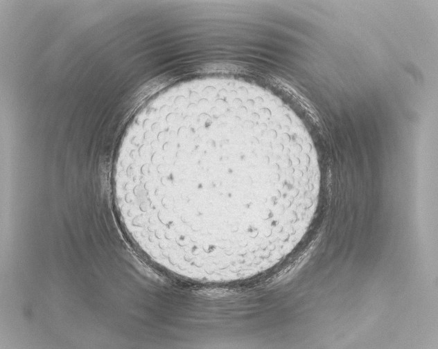 X0000114431033200911271613