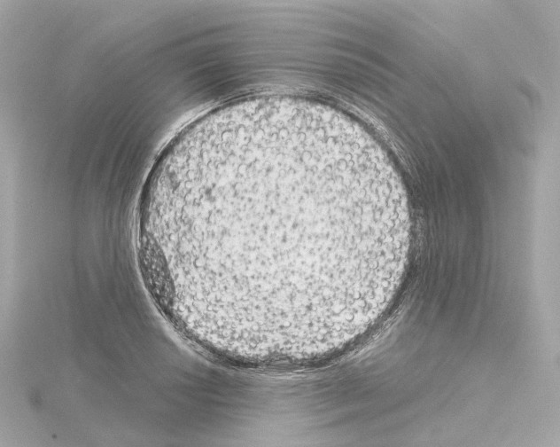 X0000114431034200911271613