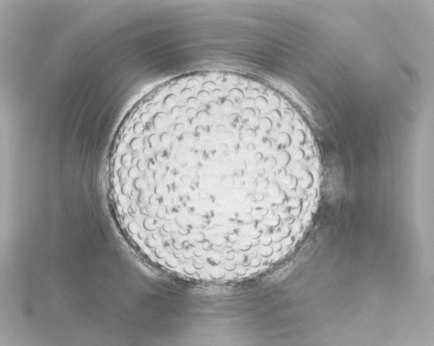 X0000114431040200911271613