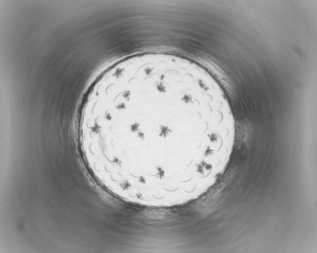 X0000114431046200911271613