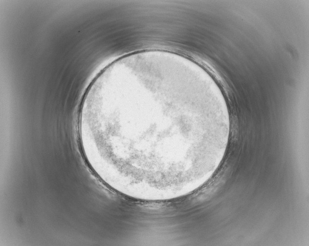 X0000114431048200911271613