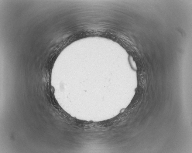 X0000114431061200911271613