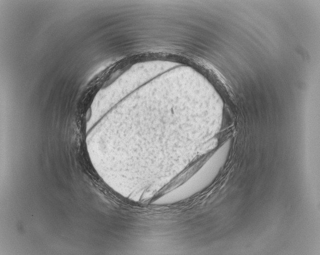 X0000114431064200911271613