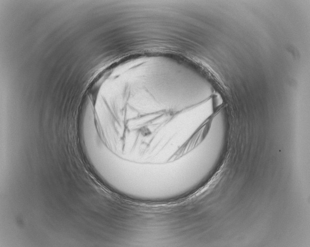 X0000114431065200911271613