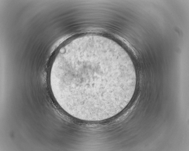 X0000114431066200911271613