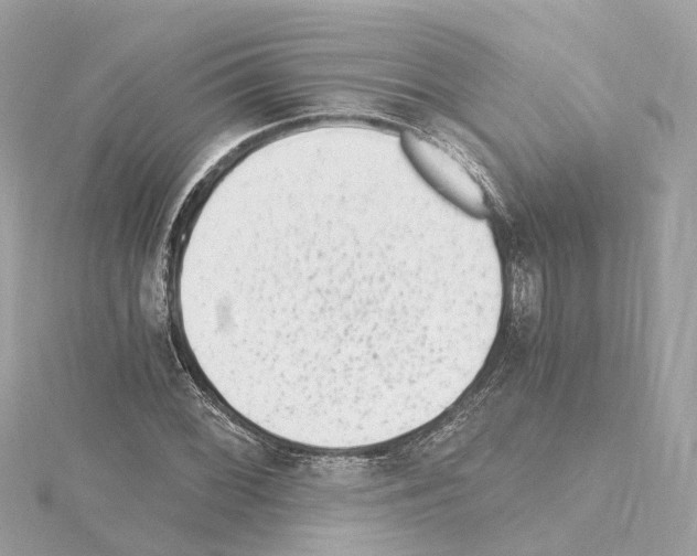 X0000114431068200911271613