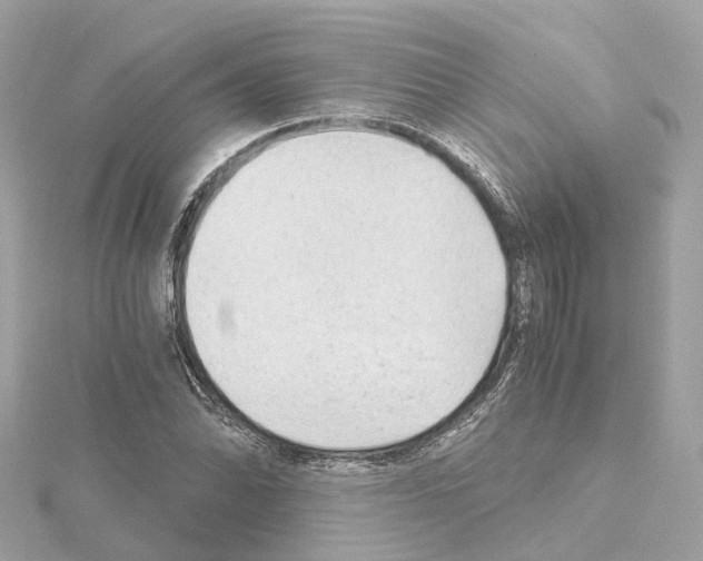 X0000114431070200911271613