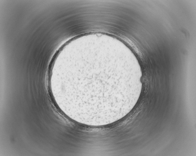 X0000114431076200911271613