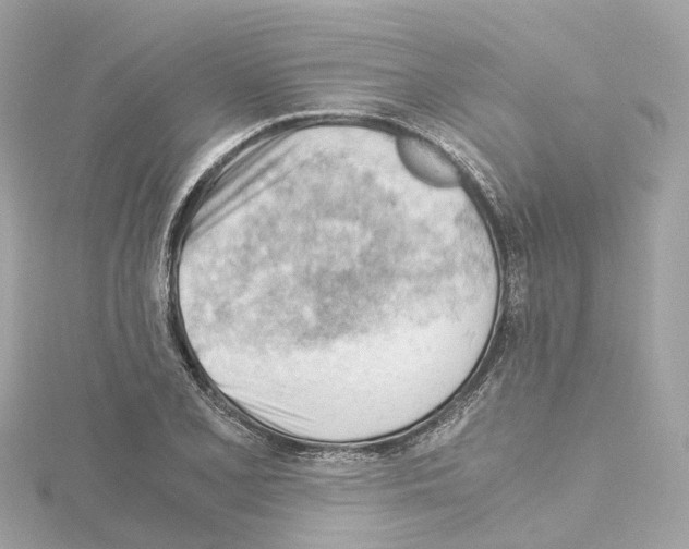 X0000114431077200911271613