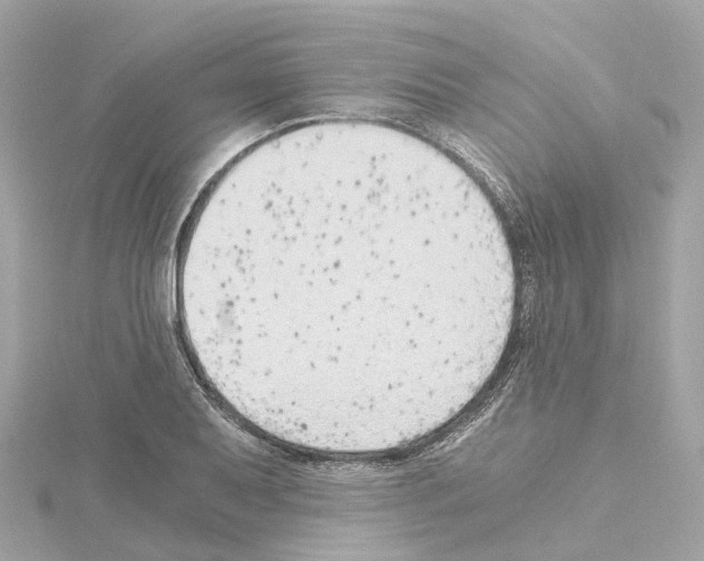 X0000114431079200911271612