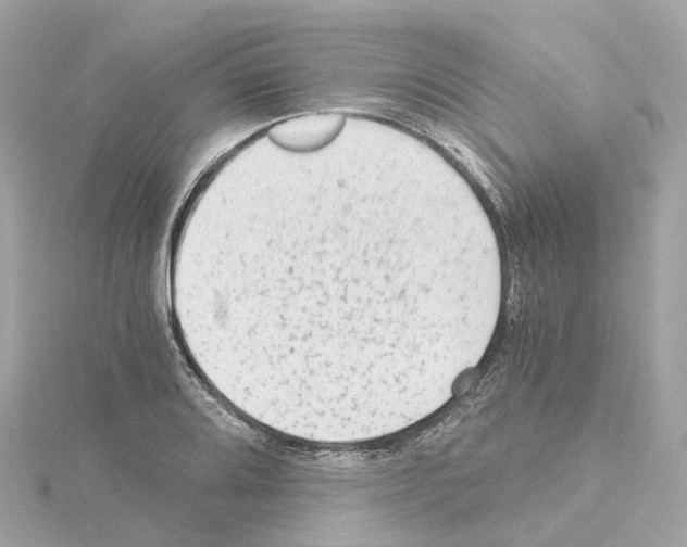 X0000114431080200911271612