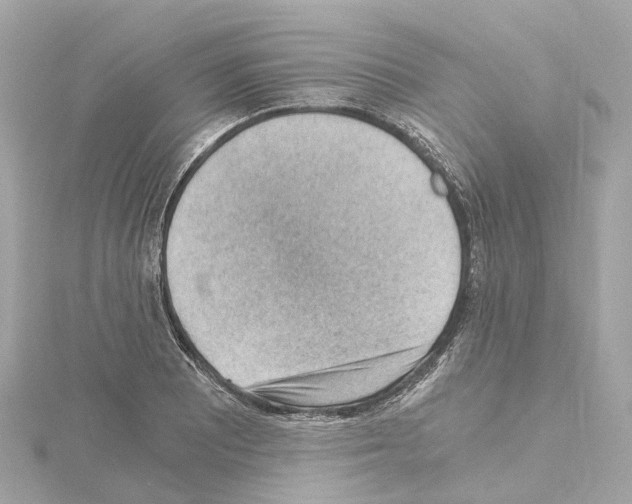 X0000114431081200911271612