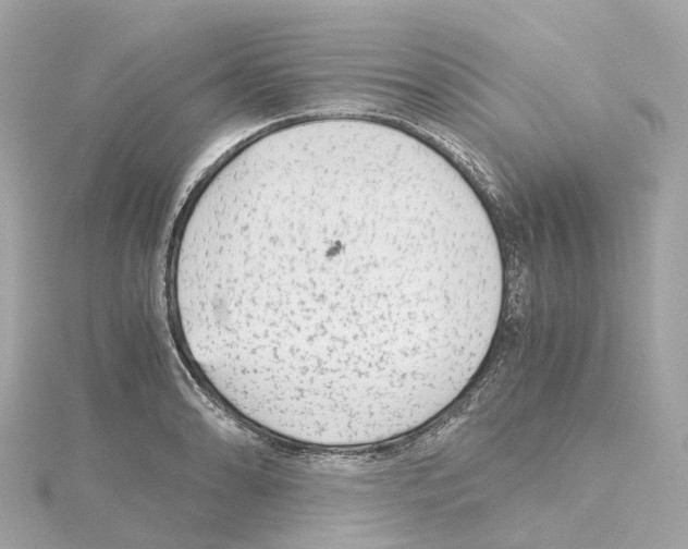 X0000114431086200911271612