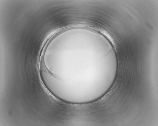 X0000114431088200911271612