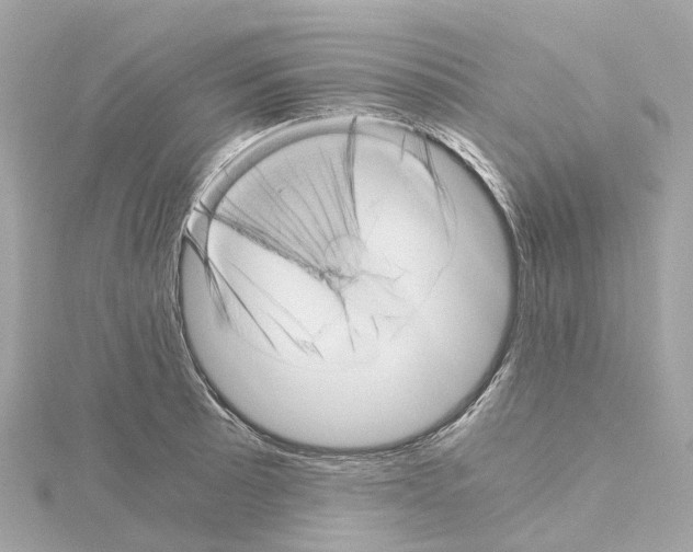 X0000114431089200911271612