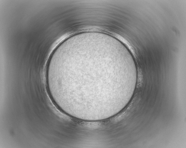 X0000114431090200911271612