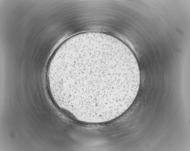 X0000114431091200911271612