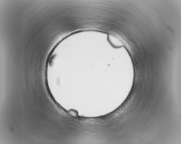 X0000114431093200911271612