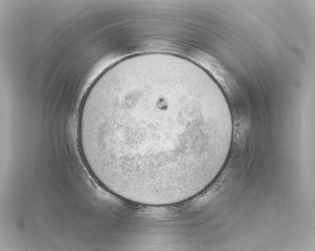 X0000114431094200911271612