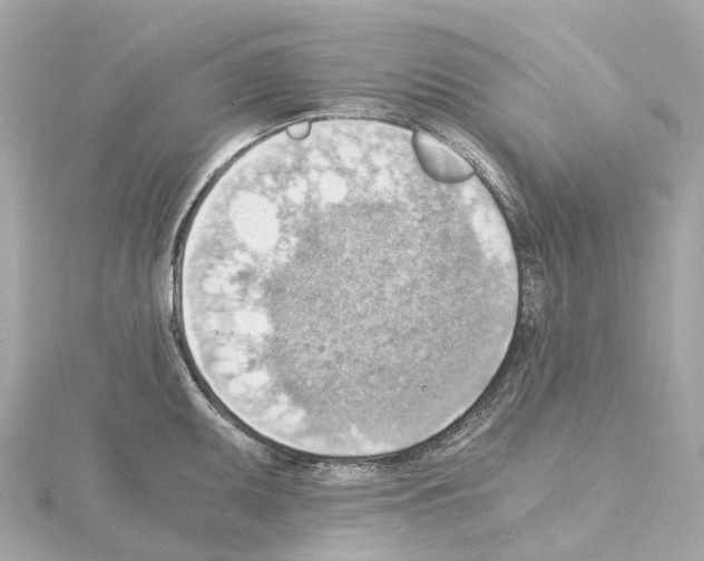 X0000114431095200911271612