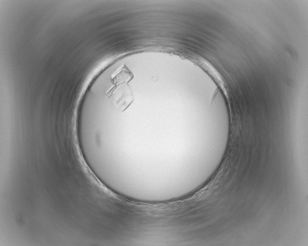 X0000114431096200911271612