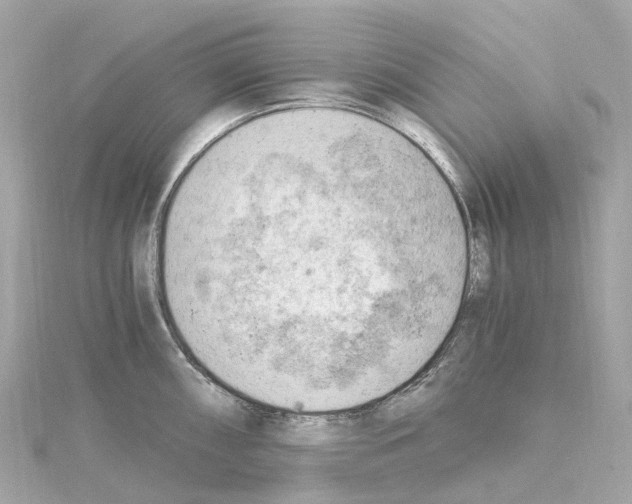 X0000114431098200911271612