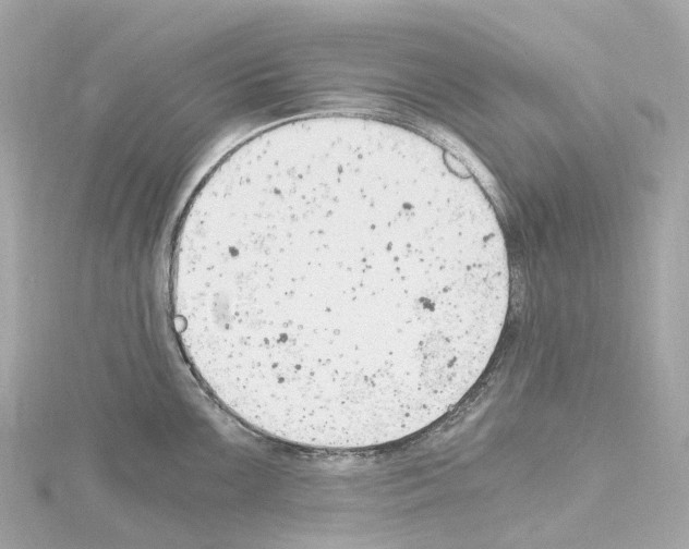 X0000114431099200911271612