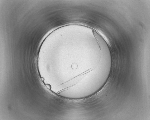 X0000114431100200911271612