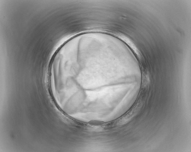 X0000114431101200911271612