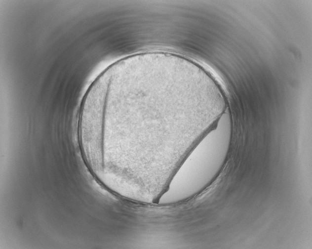 X0000114431102200911271612