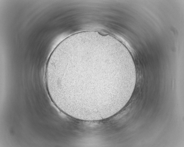 X0000114431103200911271612