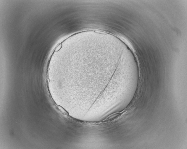 X0000114431104200911271612