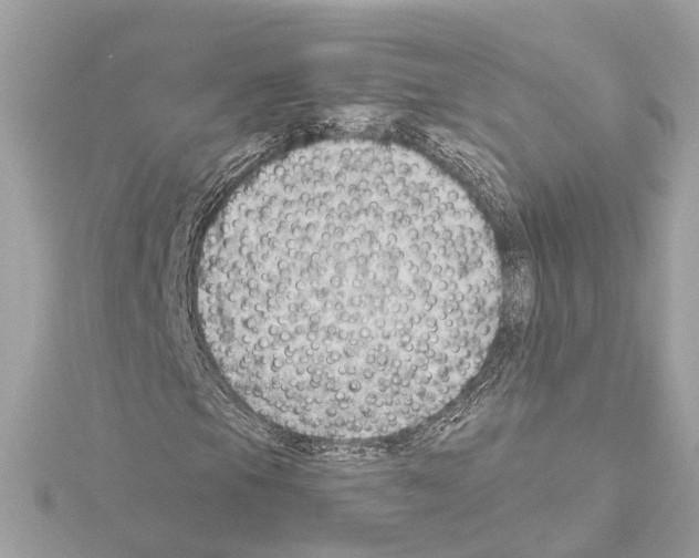 X0000114431105200911271612