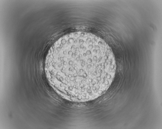 X0000114431106200911271612