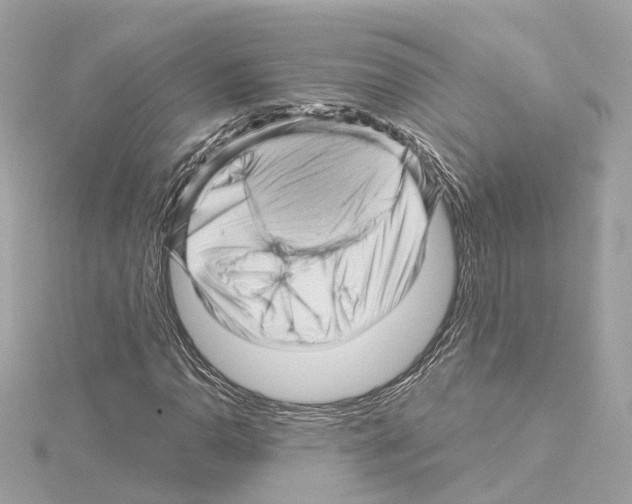 X0000114431110200911271612