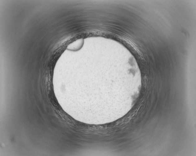 X0000114431111200911271612