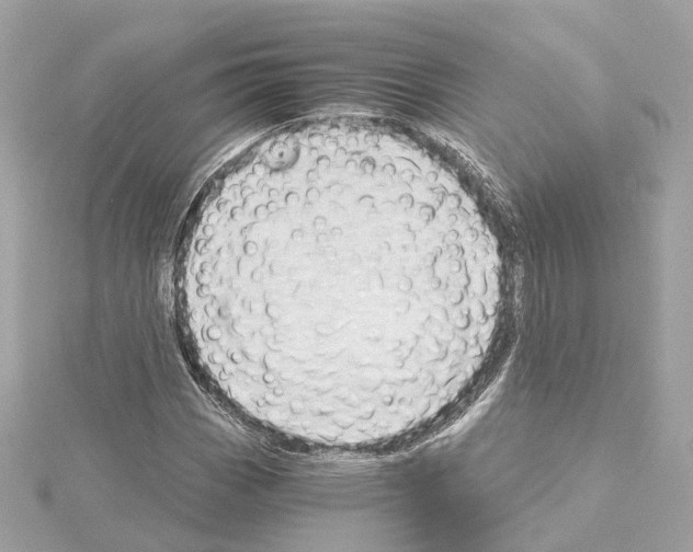 X0000114431113200911271612