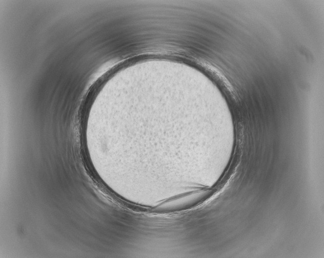 X0000114431114200911271612