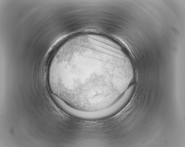 X0000114431115200911271612