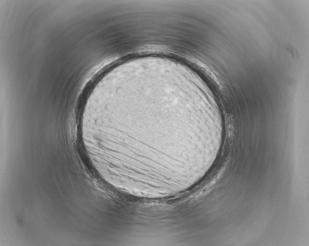 X0000114431117200911271612