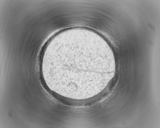 X0000114431118200911271612